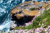 Trebarwith Strand