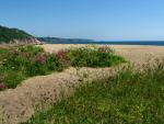 Slapton Sands , Valerian