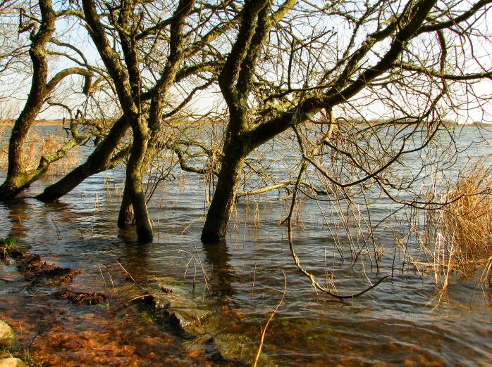 Slapton Ley