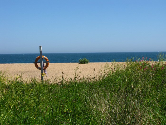 Beach towards Start Bay