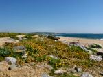 Slapton Landscape