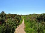 Slapton Landscape