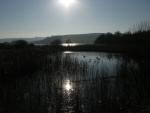 Slapton Landscape