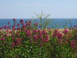 Slapton Sands